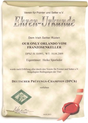 Deutscher Prüfungs-Champion